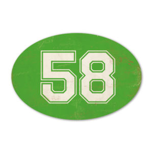 Huisnummer ovaal type 5   Koenmeloen   groen wit